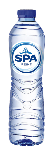 Water Spa Reine blauw PET 0.50l