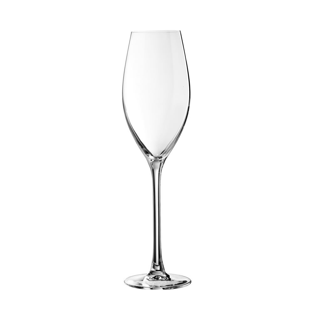 Chef en Sommelier Champagneglas Grand Cepage 24cl doos 6st